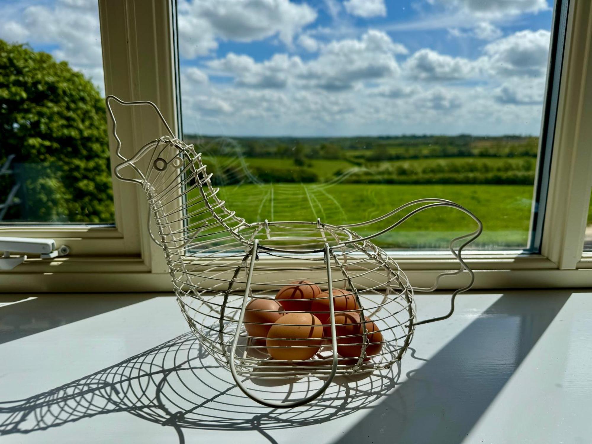 בראקלי Cockley Hill Farm Bed & Breakfast מראה חיצוני תמונה